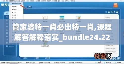 管家婆特一肖必出特一肖,課程解答解釋落實(shí)_bundle24.223