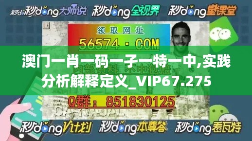 澳門一肖一碼一孑一特一中,實踐分析解釋定義_VIP67.275