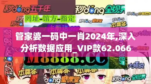 管家婆一碼中一肖2024年,深入分析數(shù)據(jù)應(yīng)用_VIP款62.066