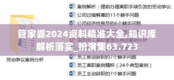 管家婆2024資料精準(zhǔn)大全,知識庫解析落實(shí)_扮演集63.723