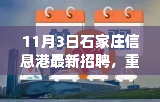 11月3日石家莊信息港最新招聘大揭秘，優(yōu)質(zhì)職位等你來(lái)挑戰(zhàn)