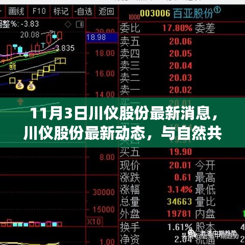 探尋心靈的寧?kù)o港灣，川儀股份最新動(dòng)態(tài)與自然共舞，最新消息一覽（11月3日）