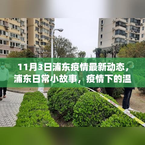 浦東疫情最新動態(tài)下的溫暖時光，日常小故事記錄溫暖瞬間