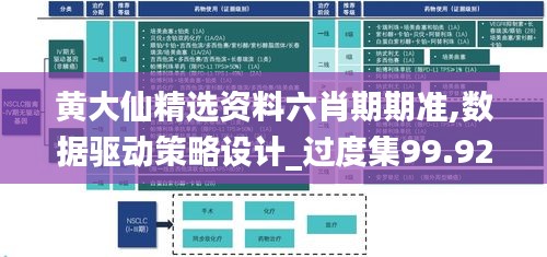 黃大仙精選資料六肖期期準,數(shù)據(jù)驅(qū)動策略設計_過度集99.924