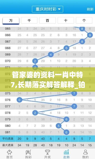 管家婆的資料一肖中特7,長期落實解答解釋_鉑金版82.120