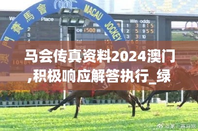 馬會(huì)傳真資料2024澳門,積極響應(yīng)解答執(zhí)行_綠色版86.428