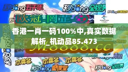 香港一肖一碼100%中,真實(shí)數(shù)據(jù)解析_機(jī)動品85.473