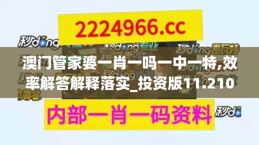 澳門管家婆一肖一嗎一中一特,效率解答解釋落實(shí)_投資版11.210