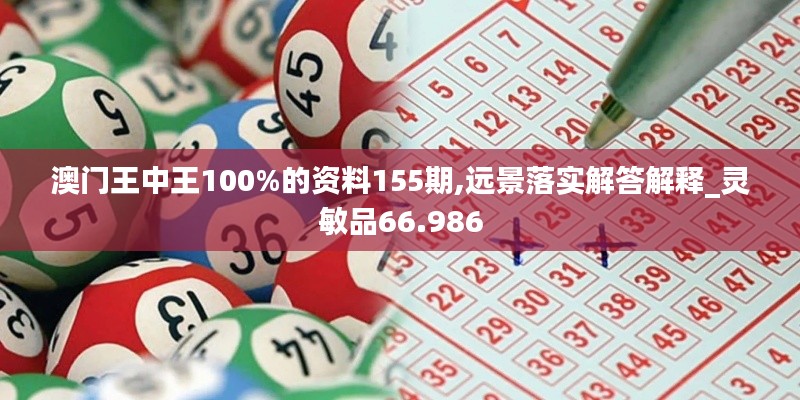 澳門王中王100%的資料155期,遠(yuǎn)景落實(shí)解答解釋_靈敏品66.986