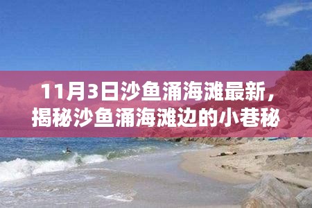 揭秘沙魚涌海灘小巷秘境，特色小店的魅力之旅（最新報(bào)道）