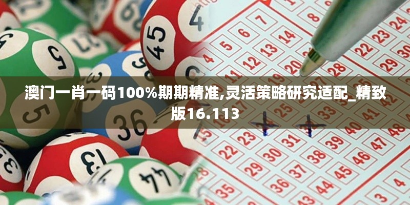 澳門一肖一碼100%期期精準(zhǔn),靈活策略研究適配_精致版16.113