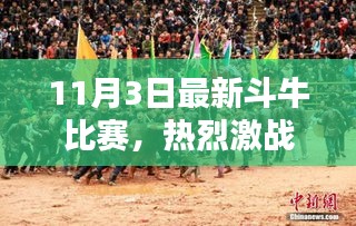 11月3日斗牛比賽全景解析，熱烈激戰(zhàn)與策略揭秘