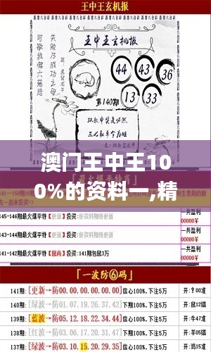 澳門王中王100%的資料一,精準(zhǔn)落實(shí)方案分析_6K10.302