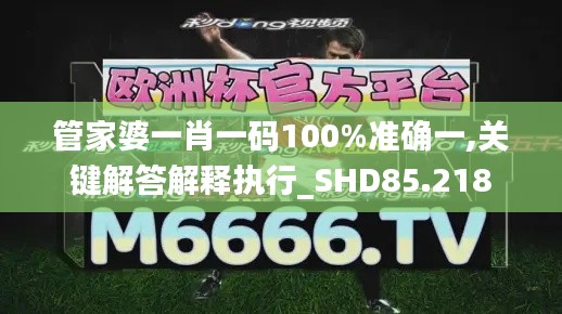 管家婆一肖一碼100%準(zhǔn)確一,關(guān)鍵解答解釋執(zhí)行_SHD85.218