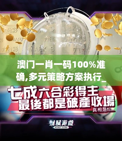 澳門一肖一碼100%準(zhǔn)確,多元策略方案執(zhí)行_研究款89.093