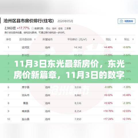 揭秘東光最新房價動態(tài)，數(shù)字背后的故事與房價新篇章