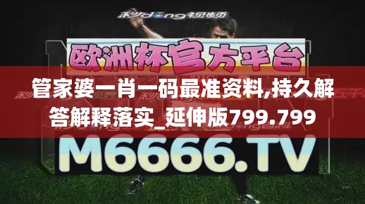 管家婆一肖一碼最準(zhǔn)資料,持久解答解釋落實(shí)_延伸版799.799