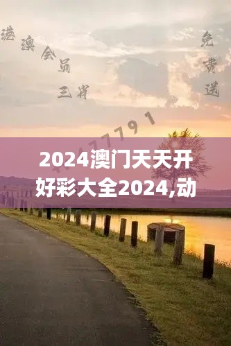 2024澳門天天開好彩大全2024,動(dòng)態(tài)研究解答解釋方法_扮演集50.304