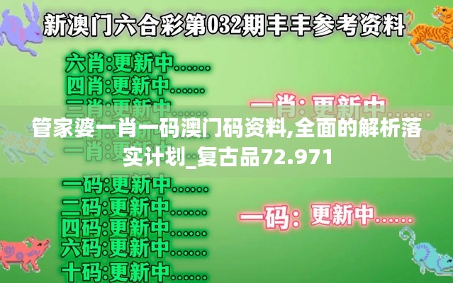 管家婆一肖一碼澳門碼資料,全面的解析落實計劃_復古品72.971