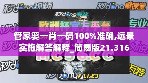 管家婆一肖一碼100%準確,遠景實施解答解釋_簡易版21.316