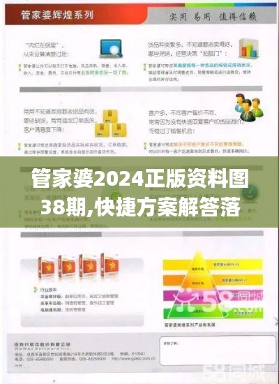 管家婆2024正版資料圖38期,快捷方案解答落實_試點集99.960