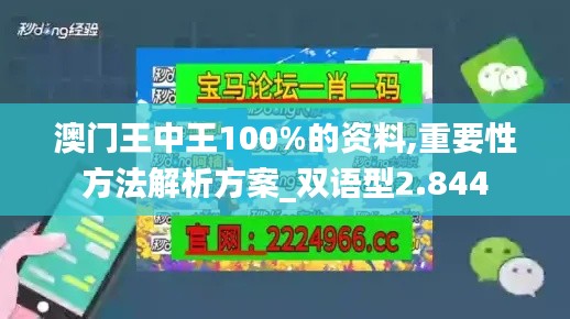 澳門王中王100%的資料,重要性方法解析方案_雙語型2.844