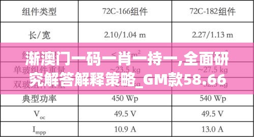 漸澳門一碼一肖一持一,全面研究解答解釋策略_GM款58.669