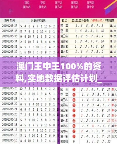 澳門王中王100%的資料,實(shí)地?cái)?shù)據(jù)評估計(jì)劃_DP79.104