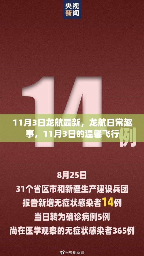 龍航日常趣事與溫馨飛行體驗(yàn)——11月3日最新報(bào)道