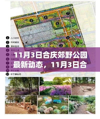 合慶郊野公園最新動(dòng)態(tài)揭秘，自然與科技的融合之旅