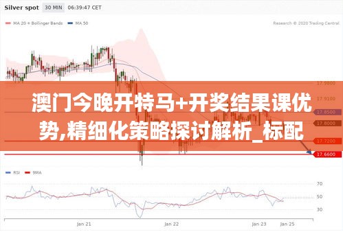 澳門今晚開特馬+開獎結(jié)果課優(yōu)勢,精細(xì)化策略探討解析_標(biāo)配制15.412