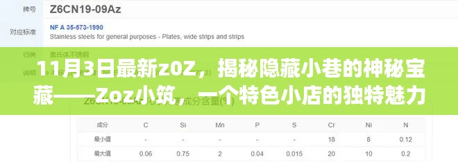 揭秘Zoz小筑，小巷深處的神秘寶藏之旅