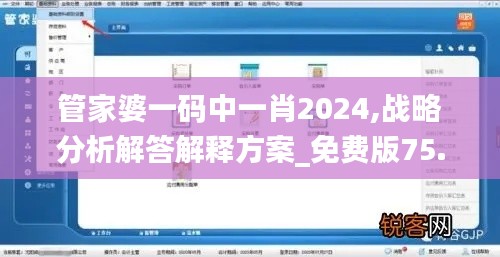 管家婆一碼中一肖2024,戰(zhàn)略分析解答解釋方案_免費(fèi)版75.445