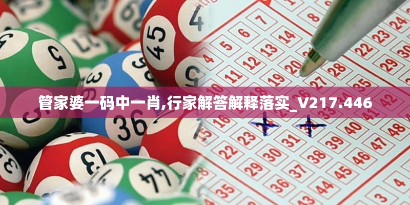 管家婆一碼中一肖,行家解答解釋落實(shí)_V217.446