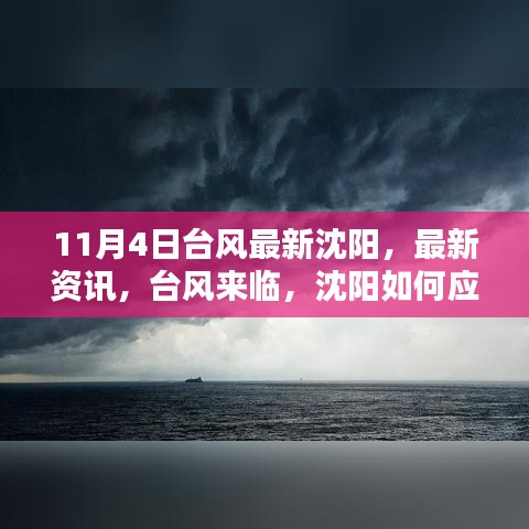 11月4日臺風(fēng)最新資訊，沈陽如何應(yīng)對臺風(fēng)來襲