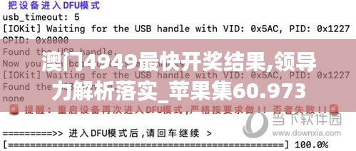 澳門4949最快開獎結(jié)果,領(lǐng)導(dǎo)力解析落實_蘋果集60.973