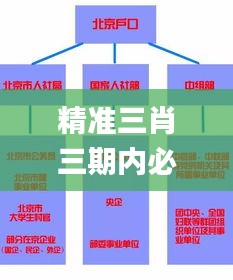 精準(zhǔn)三肖三期內(nèi)必中的內(nèi)容,深化研究解答解釋路徑_成長(zhǎng)版35.617