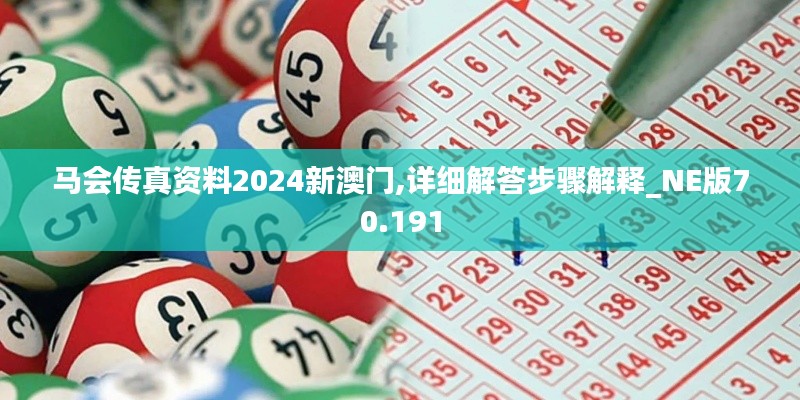 馬會傳真資料2024新澳門,詳細(xì)解答步驟解釋_NE版70.191