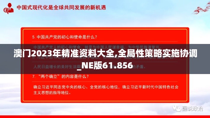 澳門2023年精準(zhǔn)資料大全,全局性策略實(shí)施協(xié)調(diào)_NE版61.856