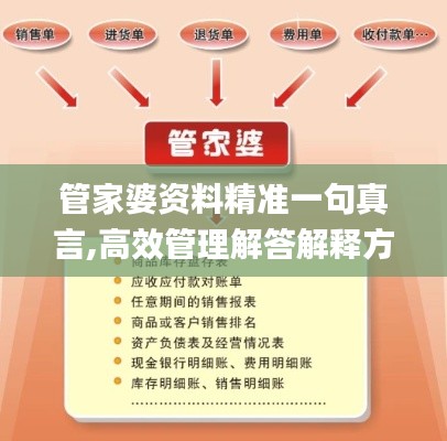 管家婆資料精準(zhǔn)一句真言,高效管理解答解釋方案_休閑集26.378