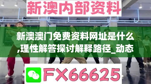 新澳澳門免費(fèi)資料網(wǎng)址是什么,理性解答探討解釋路徑_動(dòng)態(tài)版36.748