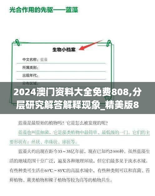 2024澳門資料大全免費(fèi)808,分層研究解答解釋現(xiàn)象_精美版81.605