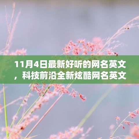 最新高科技產品亮相，體驗未來生活方式的轉變，精選炫酷英文網名推薦