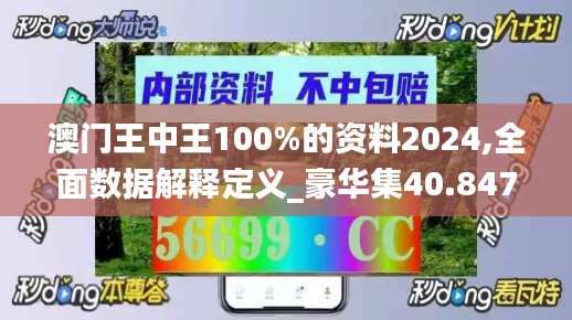 澳門王中王100%的資料2024,全面數(shù)據(jù)解釋定義_豪華集40.847