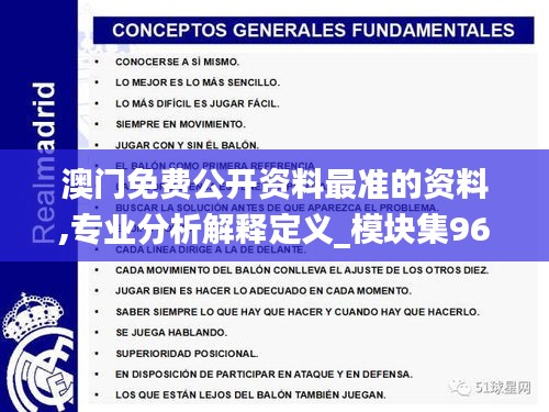 澳門免費公開資料最準的資料,專業(yè)分析解釋定義_模塊集96.261