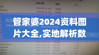 管家婆2024資料圖片大全,實(shí)地解析數(shù)據(jù)考察_高檔版9.902