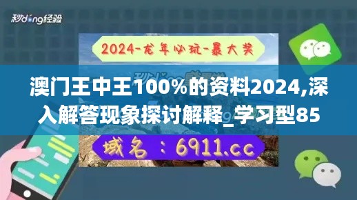 澳門(mén)王中王100%的資料2024,深入解答現(xiàn)象探討解釋_學(xué)習(xí)型85.24