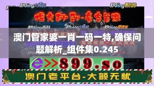 澳門管家婆一肖一碼一特,確保問(wèn)題解析_組件集0.245