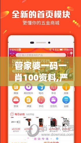 管家婆一碼一肖100資料,嚴格解答解釋落實_試用款81.331