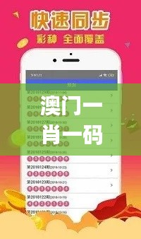 澳門一肖一碼一必中一肖.,高效設(shè)計(jì)計(jì)劃_練習(xí)款87.421